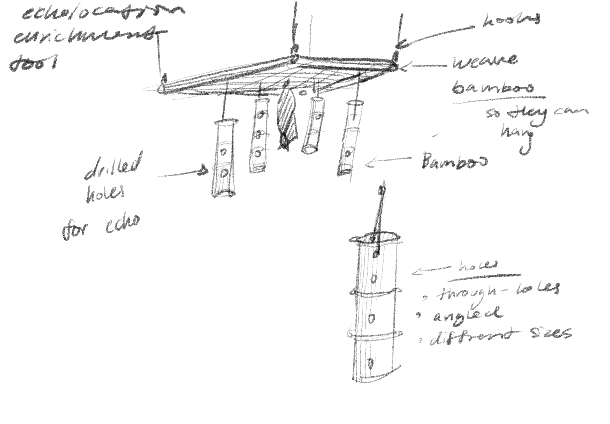Bamboo enrichment sketches
